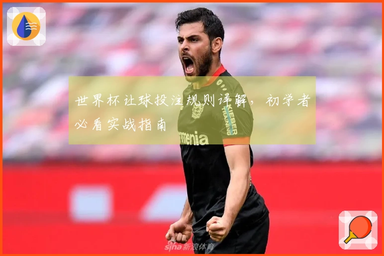 世界杯让球投注规则详解，初学者必看实战指南