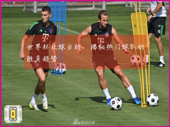 世界杯让球分析，揭秘热门球队的胜负趋势