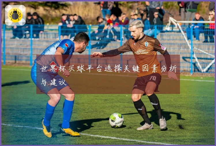 世界杯买球平台选择关键因素分析与建议