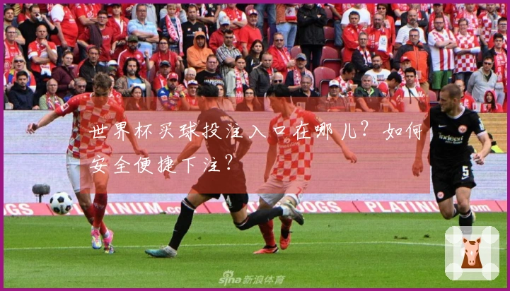 世界杯买球投注入口在哪儿？如何安全便捷下注？