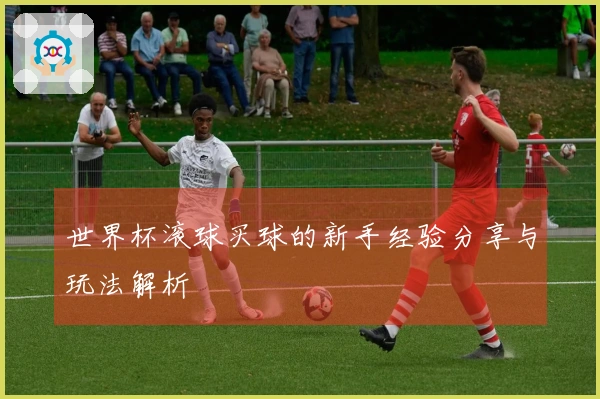 世界杯滚球买球的新手经验分享与玩法解析