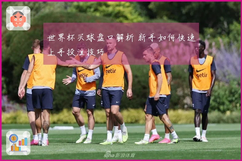 世界杯买球盘口解析 新手如何快速上手投注技巧