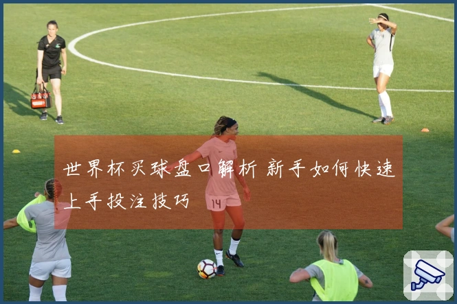 世界杯买球盘口解析 新手如何快速上手投注技巧