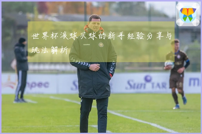 世界杯滚球买球的新手经验分享与玩法解析